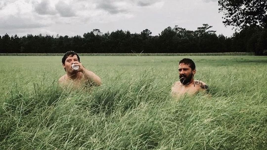 Арахісовий сокіл backdrop 12