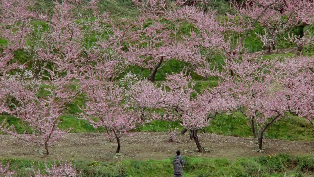 Akira Kurosawas Träume backdrop 19