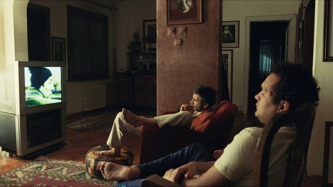 Uzak - Weit backdrop 6