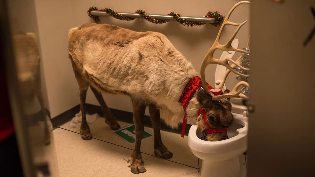 Новорічний корпоратив backdrop 8