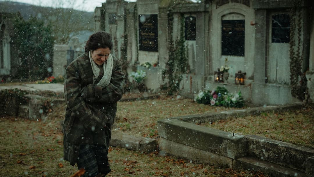 Gerta Schnirch backdrop 2