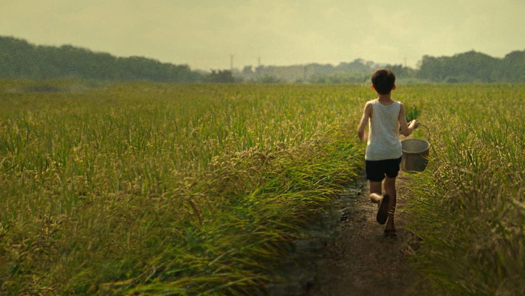 Tigertail backdrop 2