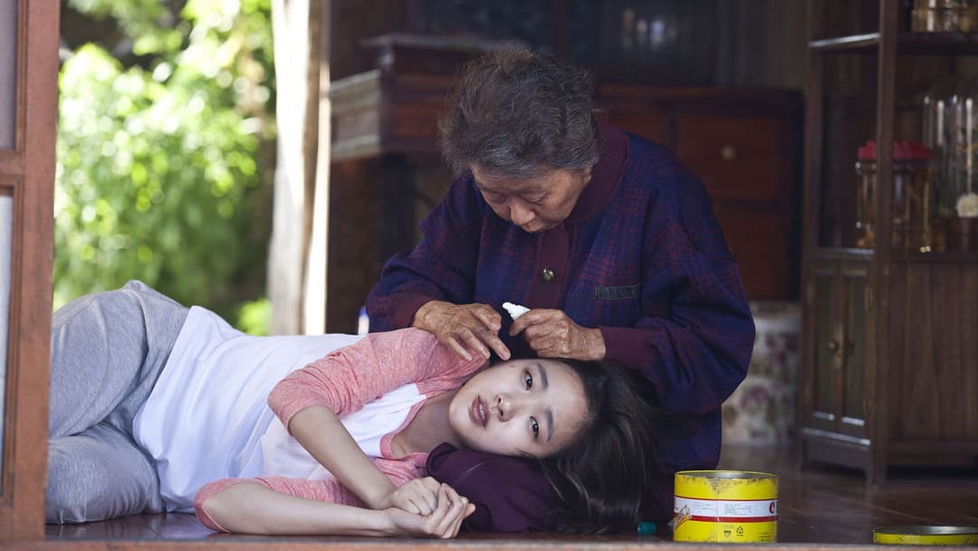 계춘할망 backdrop 1