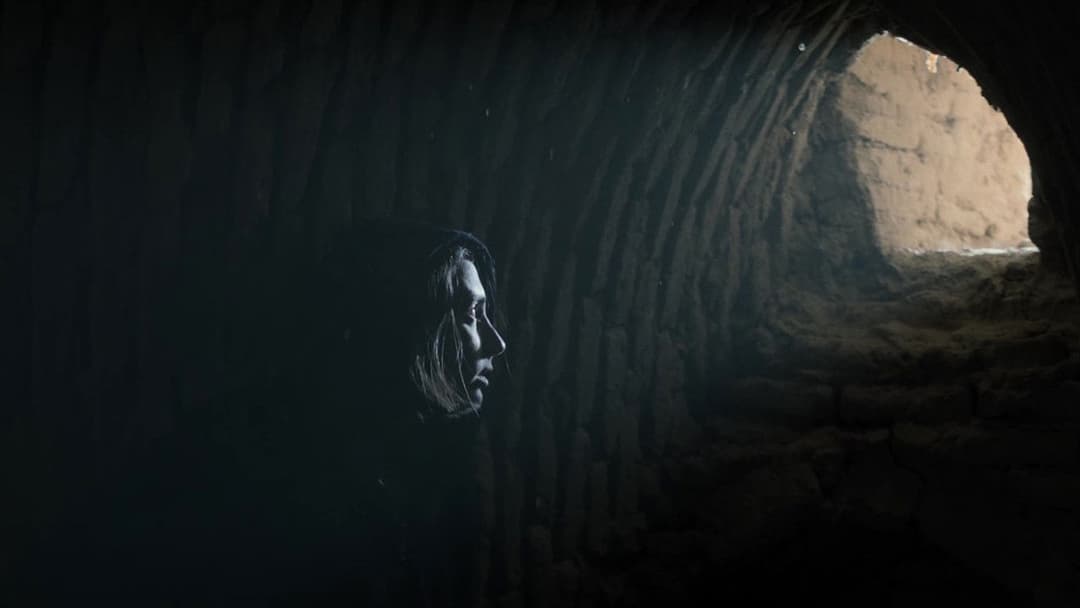 Les Graines du figuier sauvage backdrop 16