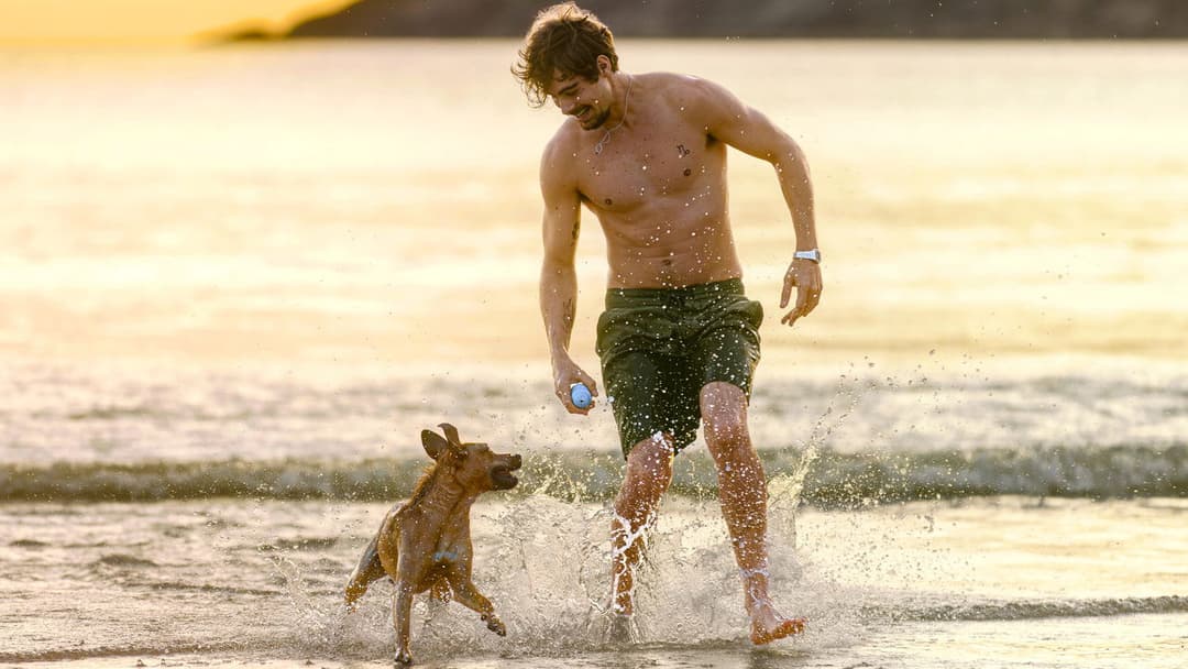 Карамело backdrop 4