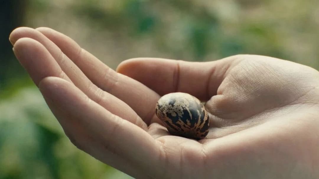 Shanghai Daughter backdrop 1