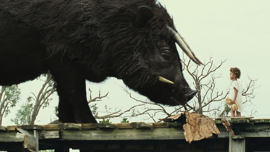 Beasts of the Southern Wild backdrop 16