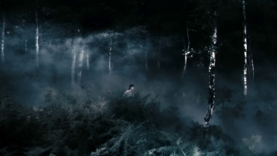 Antichrist backdrop 6