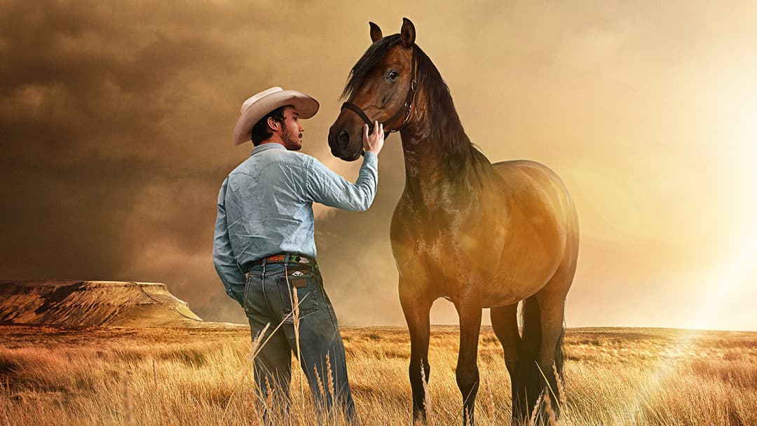 Наїзник backdrop 5