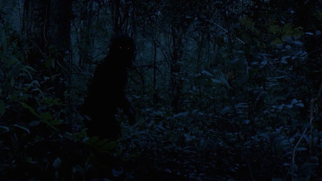 Дядечко Бунмі, який пам'ятає свої минулі життя backdrop 19