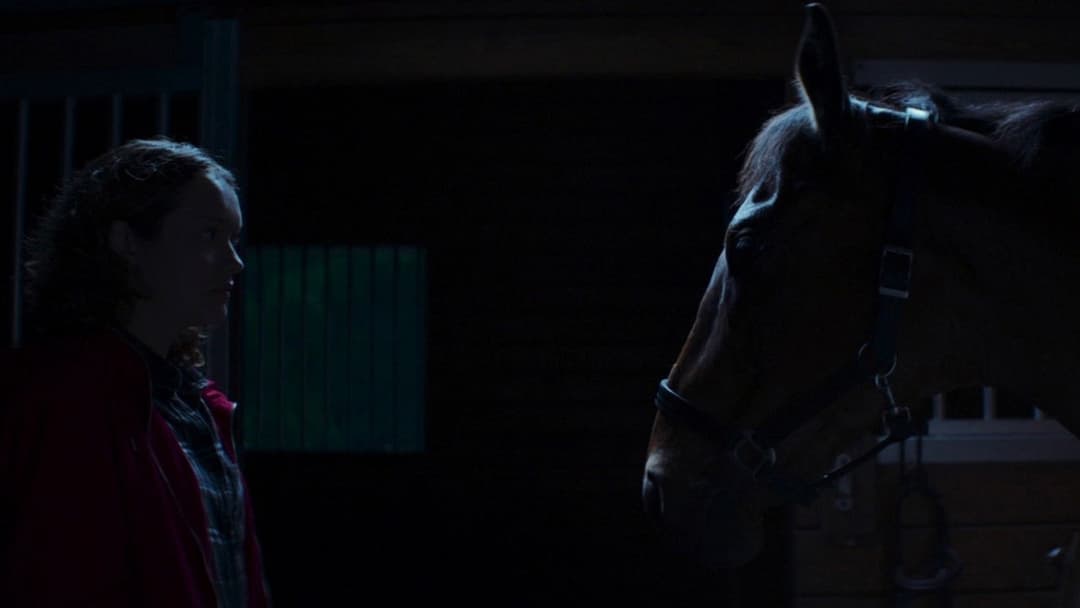 Vollblüter backdrop 8