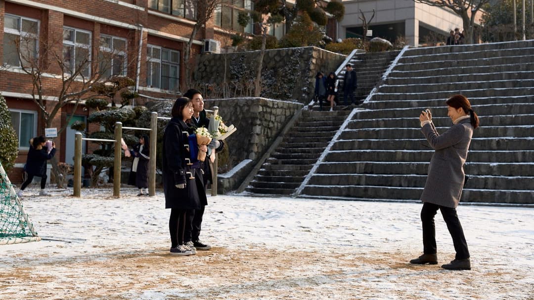 Moonlit Winter backdrop 13