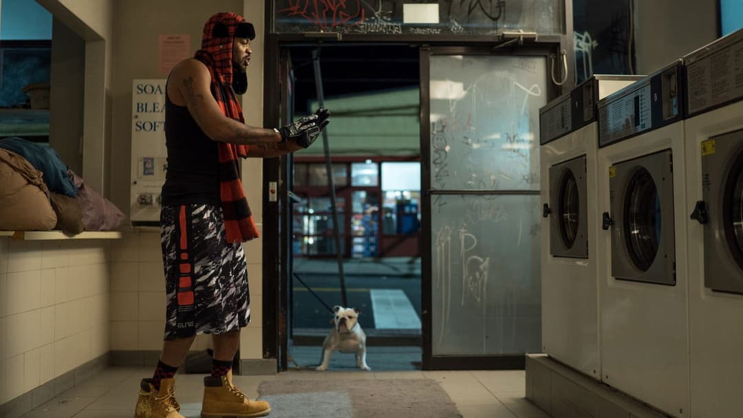 Патерсон backdrop 20