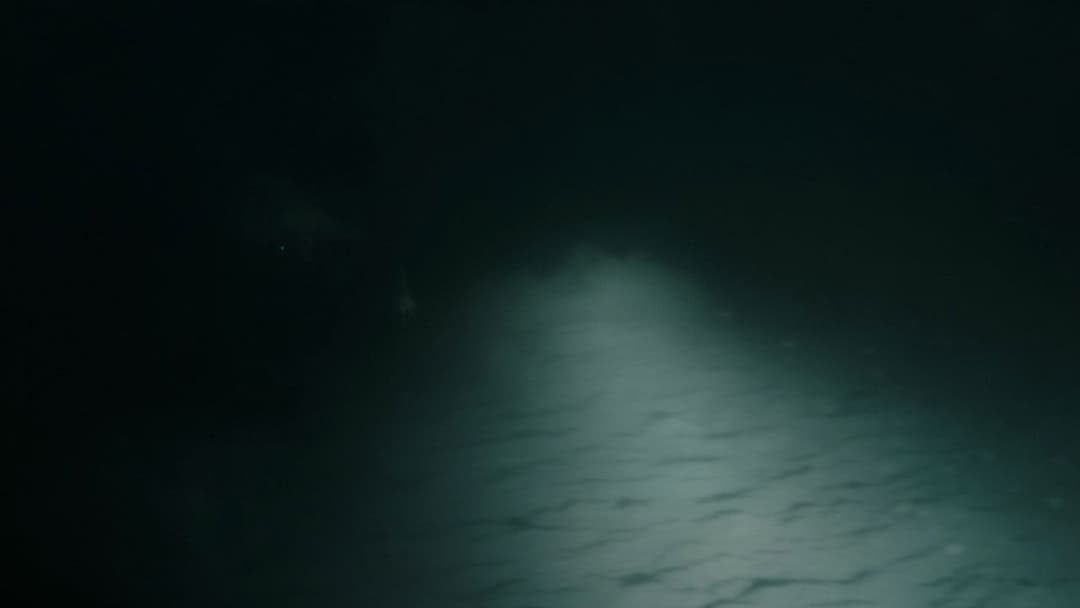 Під водою backdrop 11