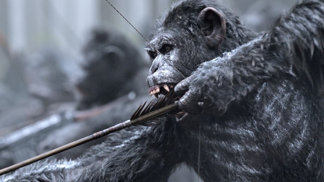 Planet der Affen - Survival backdrop 18