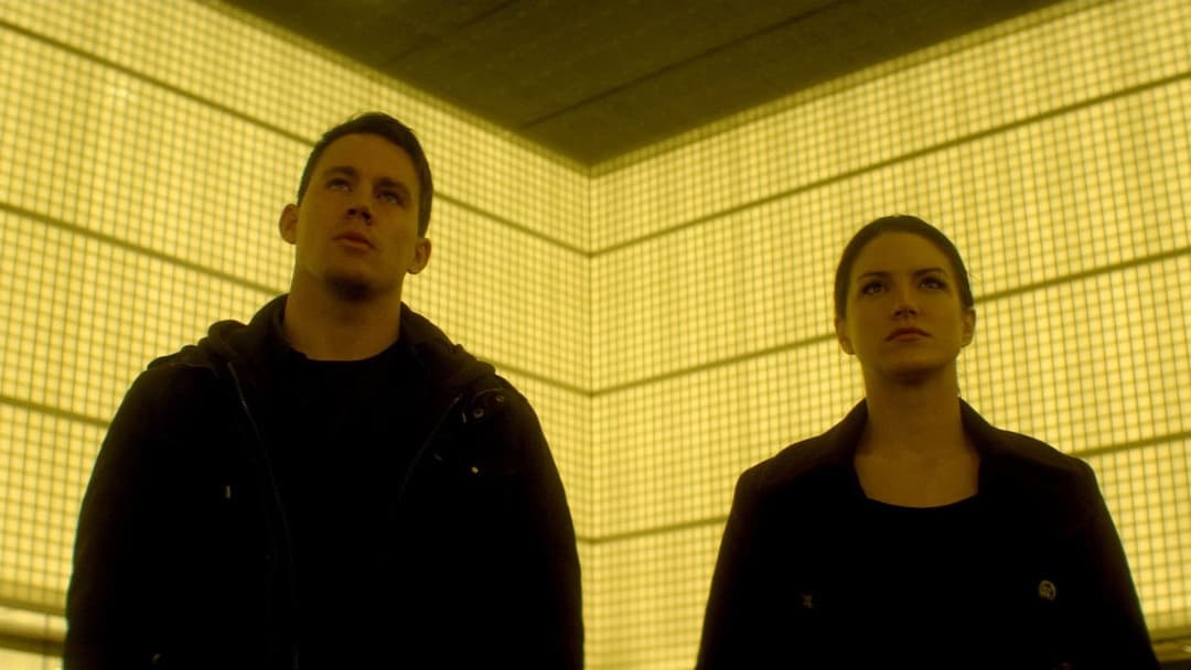 Нокаут backdrop 17