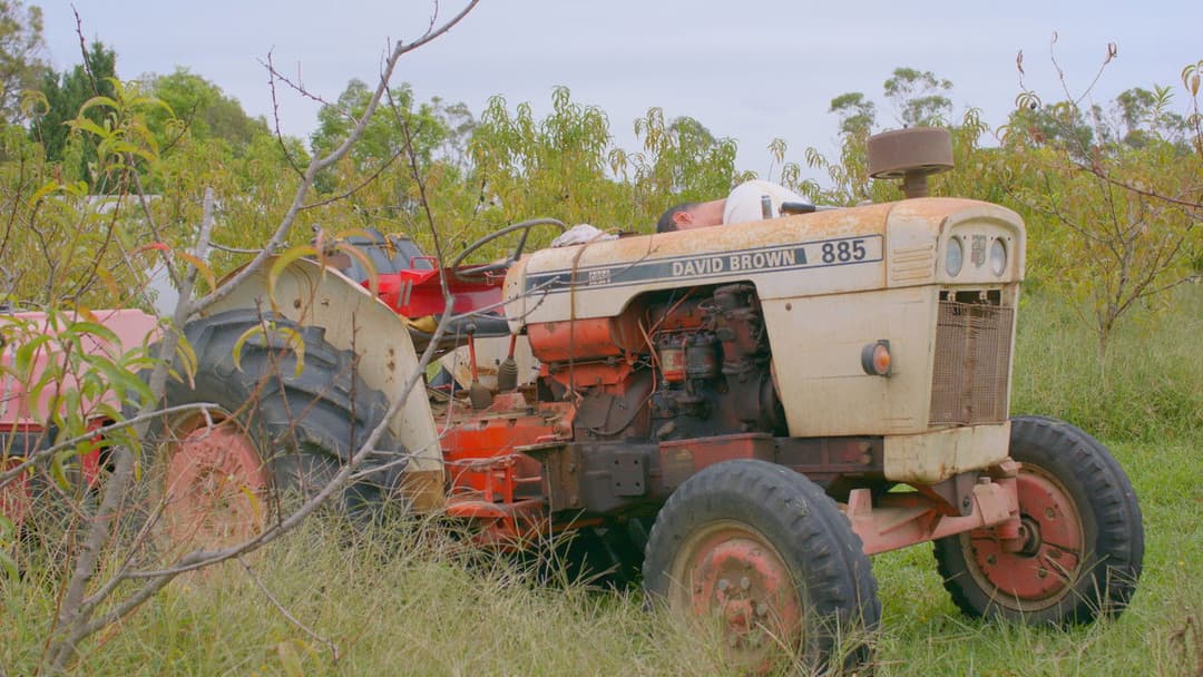 Where the Light Fades backdrop 4
