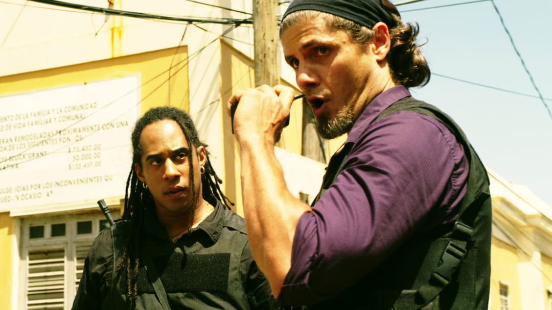 Falcon Rising backdrop 5