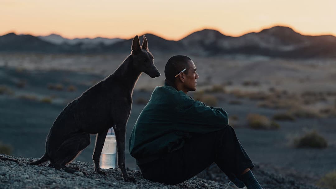 Black Dog - Weggefährten backdrop 17