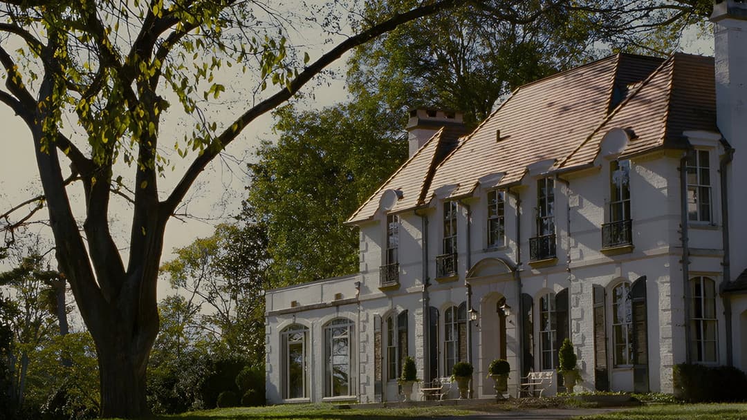 Stoker - Die Unschuld endet backdrop 19