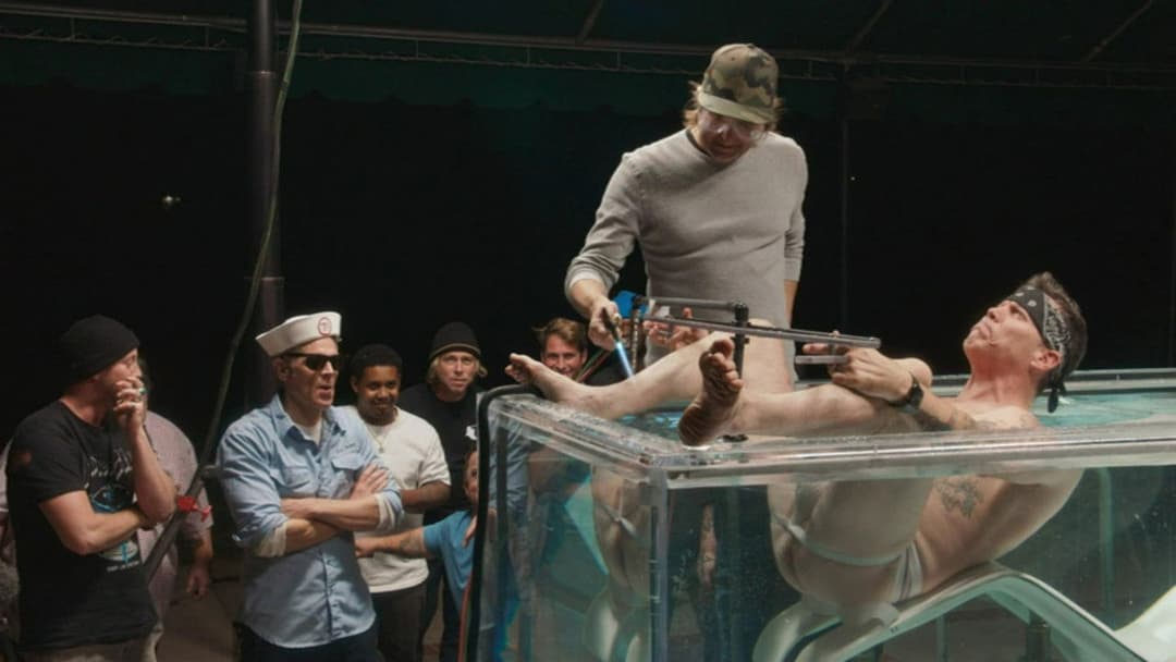 Диваки форева backdrop 16