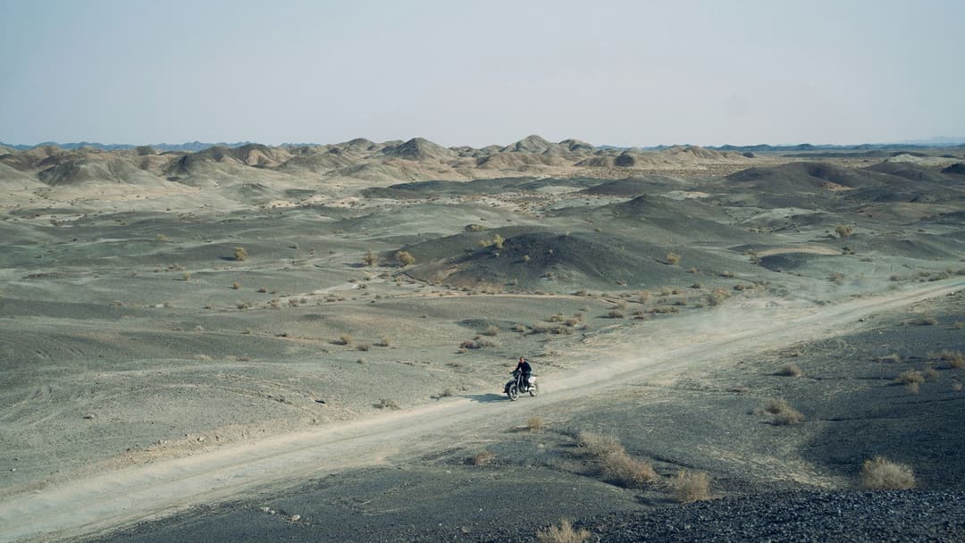 Black Dog - Weggefährten backdrop 4