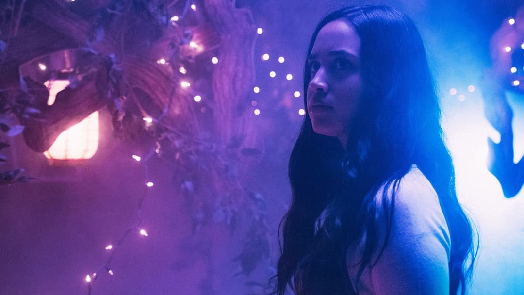 Країна чудес Віллі backdrop 9