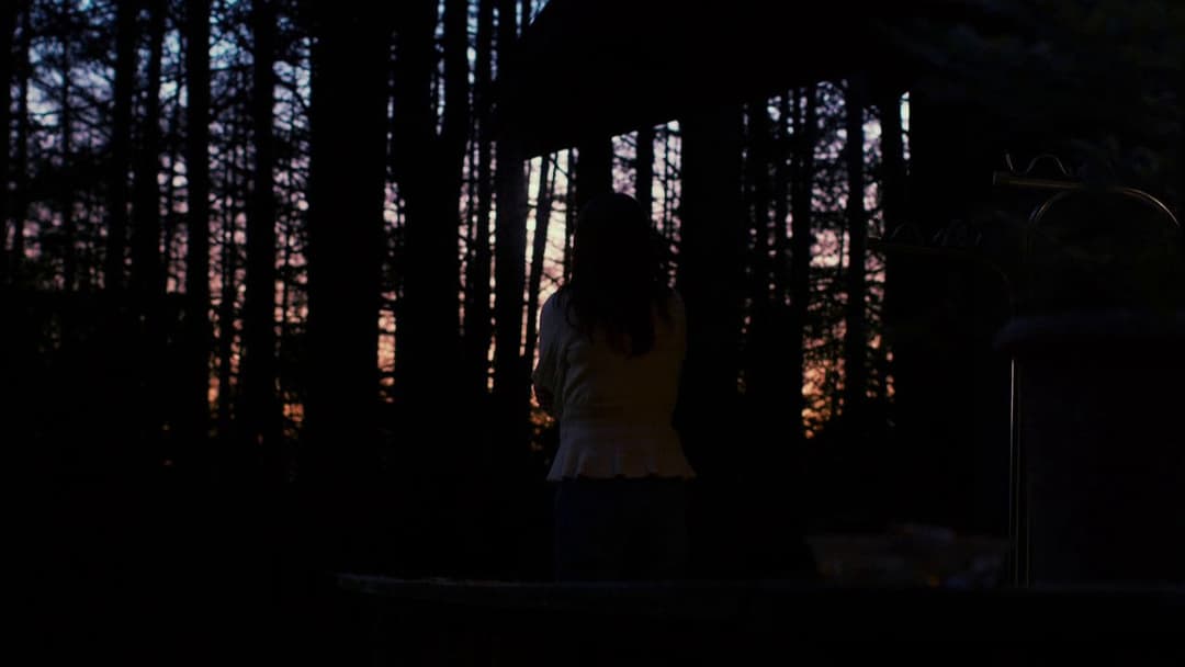 Evil Does Not Exist backdrop 11