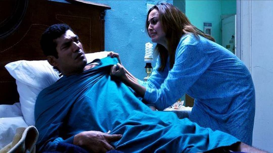 Cairo 6,7,8 backdrop 7