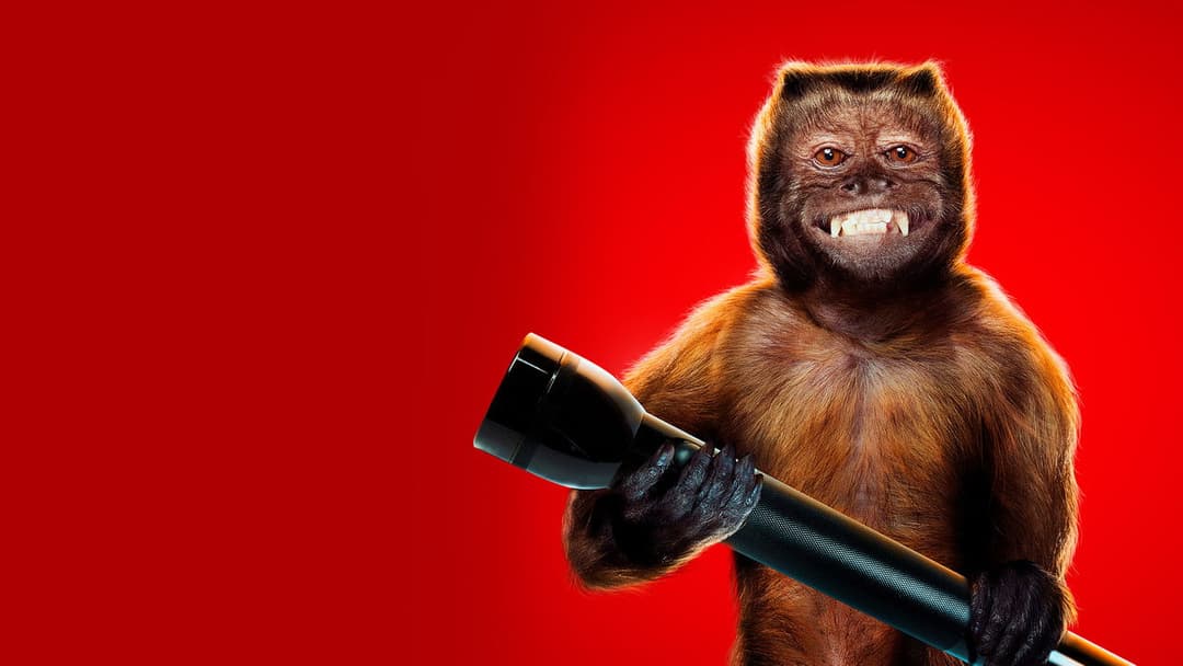 Nachts im Museum - Das geheimnisvolle Grabmal backdrop 5