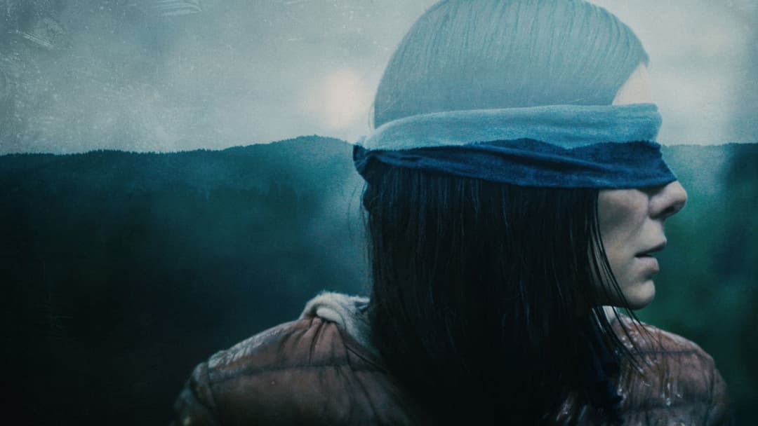 Пташиний короб backdrop 7