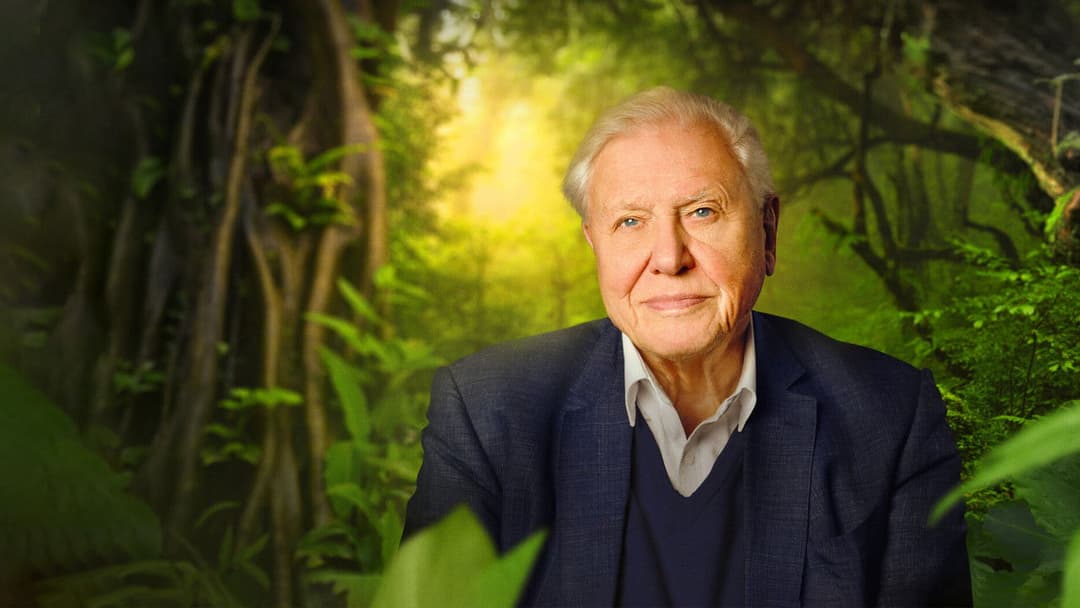David Attenborough: Mein Leben auf unserem Planeten backdrop 4