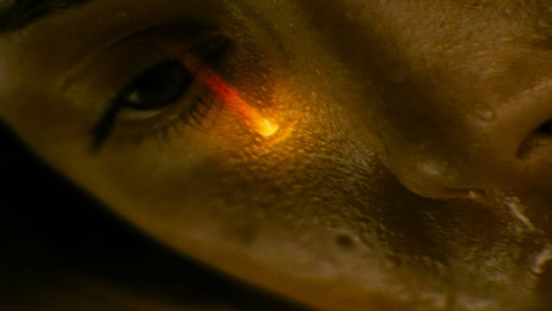 Sunshine backdrop 19