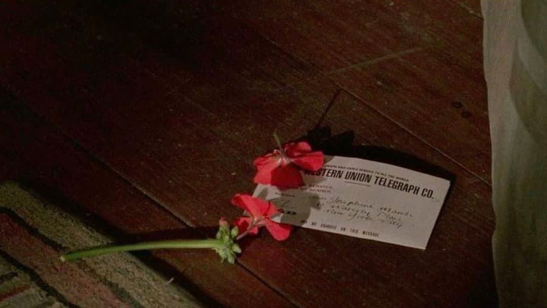 Маленькі жінки backdrop 2