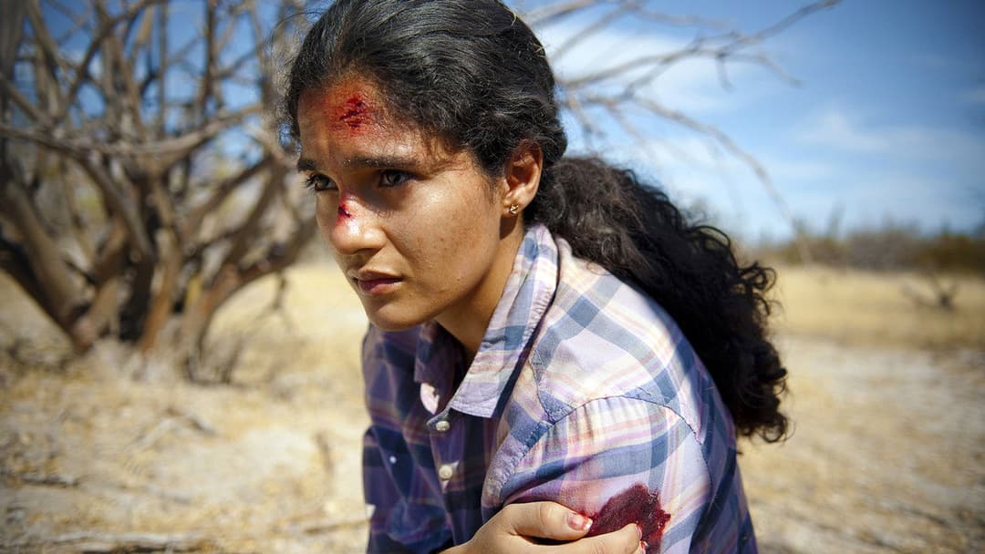 Desierto - Tödliche Hetzjagd backdrop 8