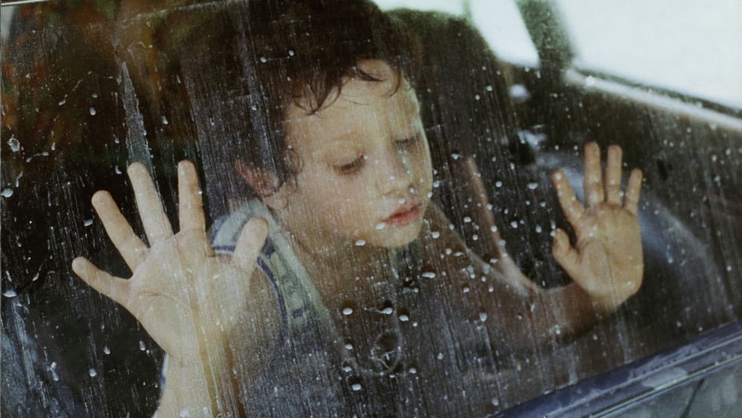 La Ciénaga backdrop 4