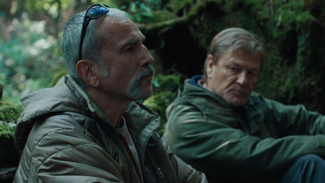 Анемона backdrop 9