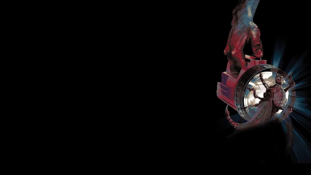 Der Nebel backdrop 2