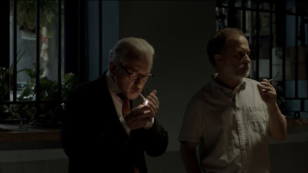 Чарівна дівчина backdrop 4