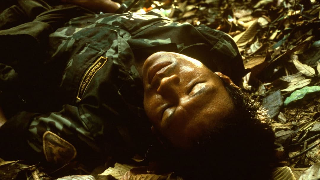 Tropical Malady backdrop 11