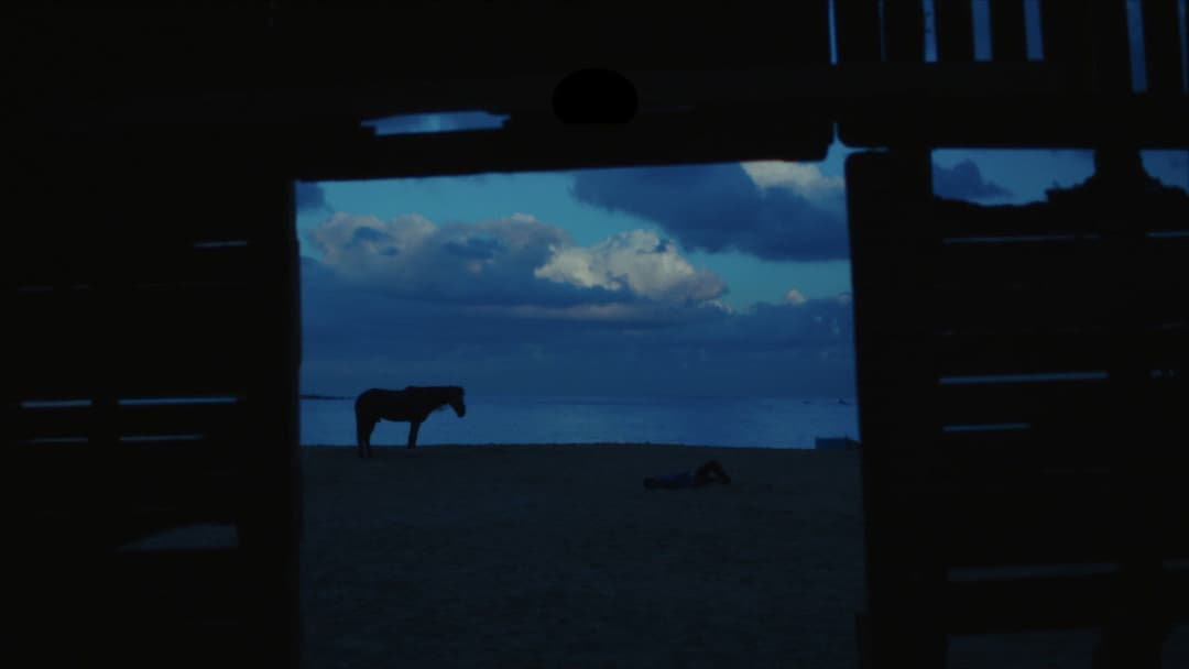 كولونيا backdrop 3