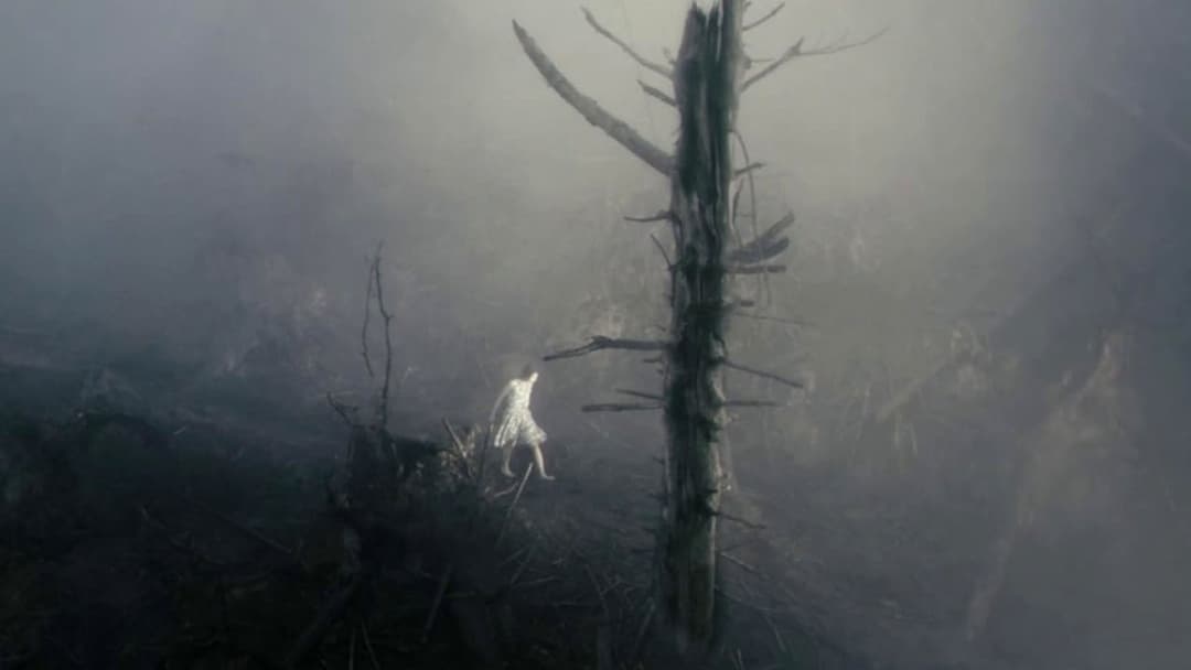 Antichrist backdrop 20