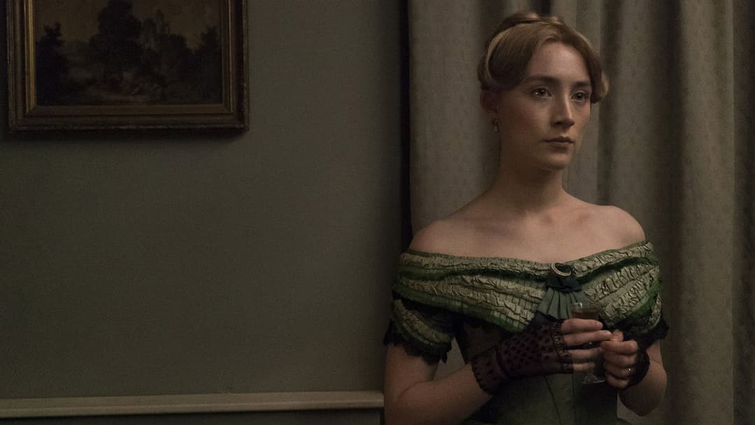 Ammonite backdrop 14