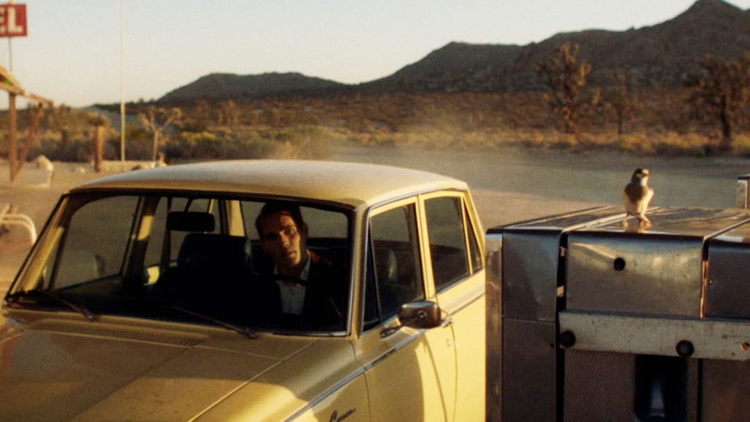 Остання зупинка в окрузі Юма backdrop 5