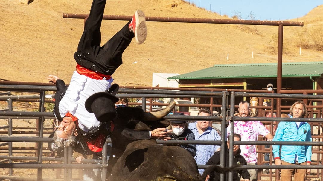 Диваки форева backdrop 9