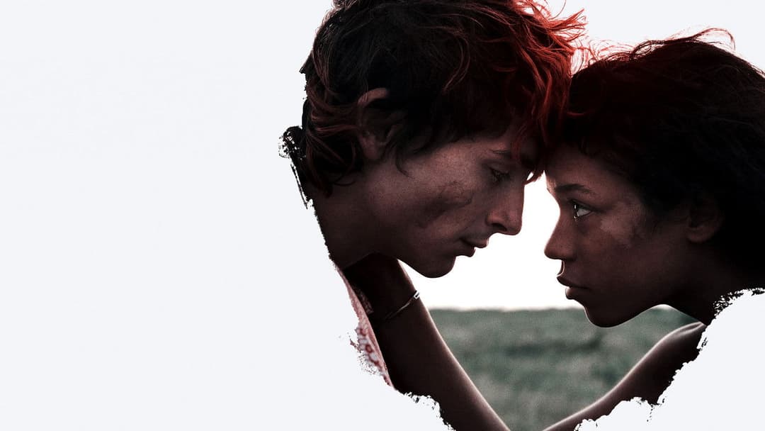 Bones and All backdrop 19