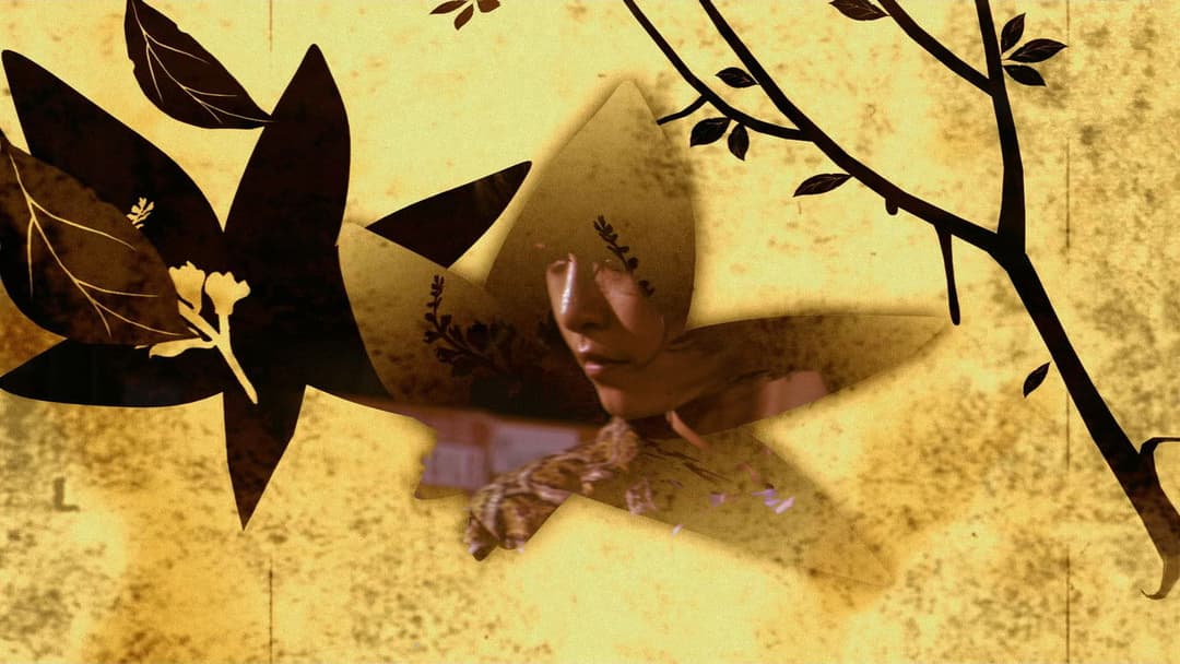 Шоколад backdrop 5