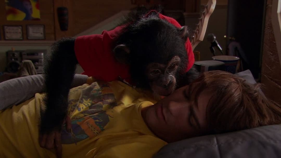 Frohe Weihnachten, Drake & Josh backdrop 12