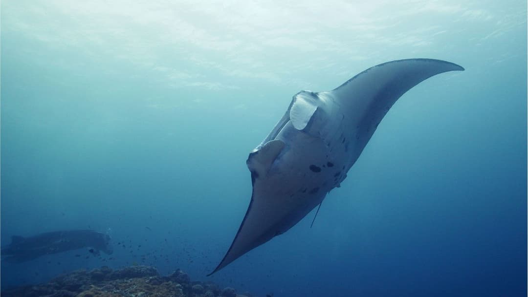 Unsere Ozeane backdrop 1