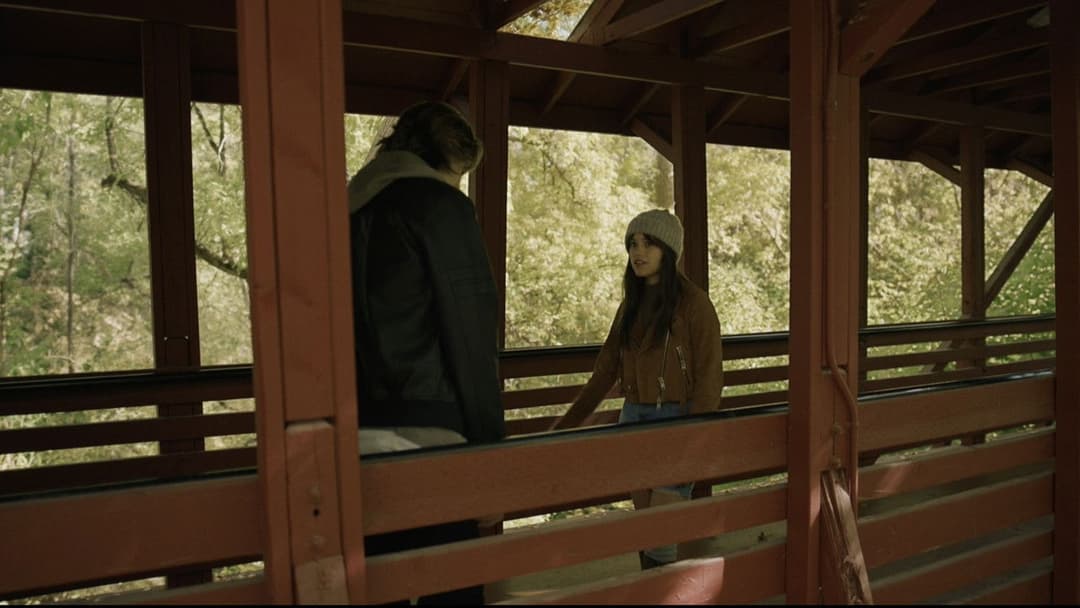 Winter Spring Summer or Fall backdrop 13